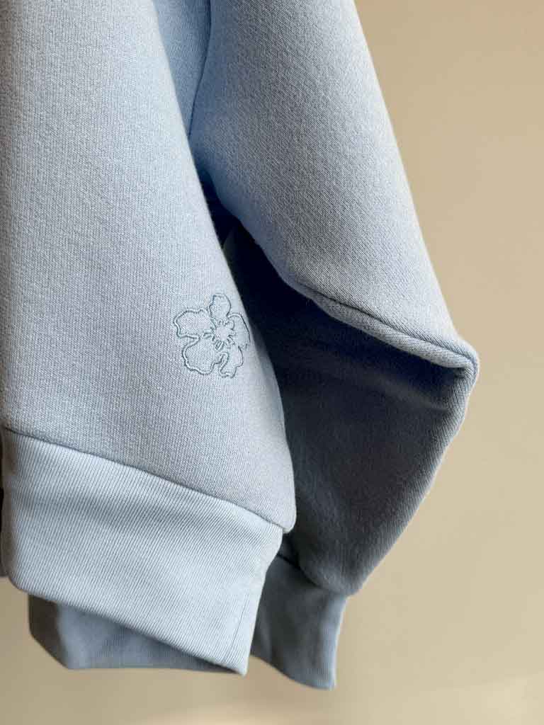 Light Blue V-Neck Sweatshirt with Batwing Sleeves – LEENA SWEAT