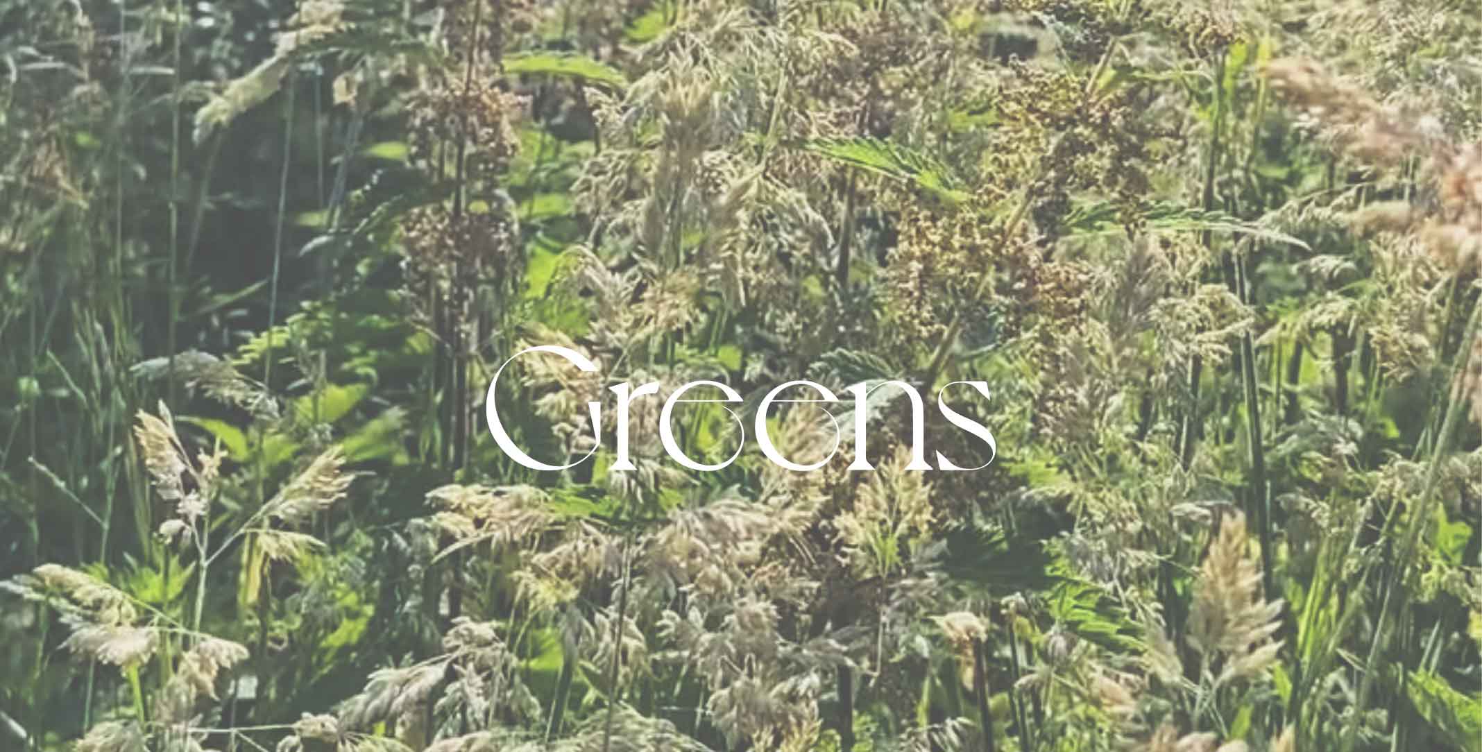 shade of green for every mood and occasion