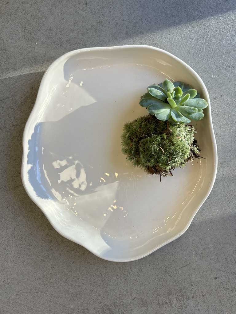 White Ceramic Dish with Organic Shapes – AMOODE Deco Plate