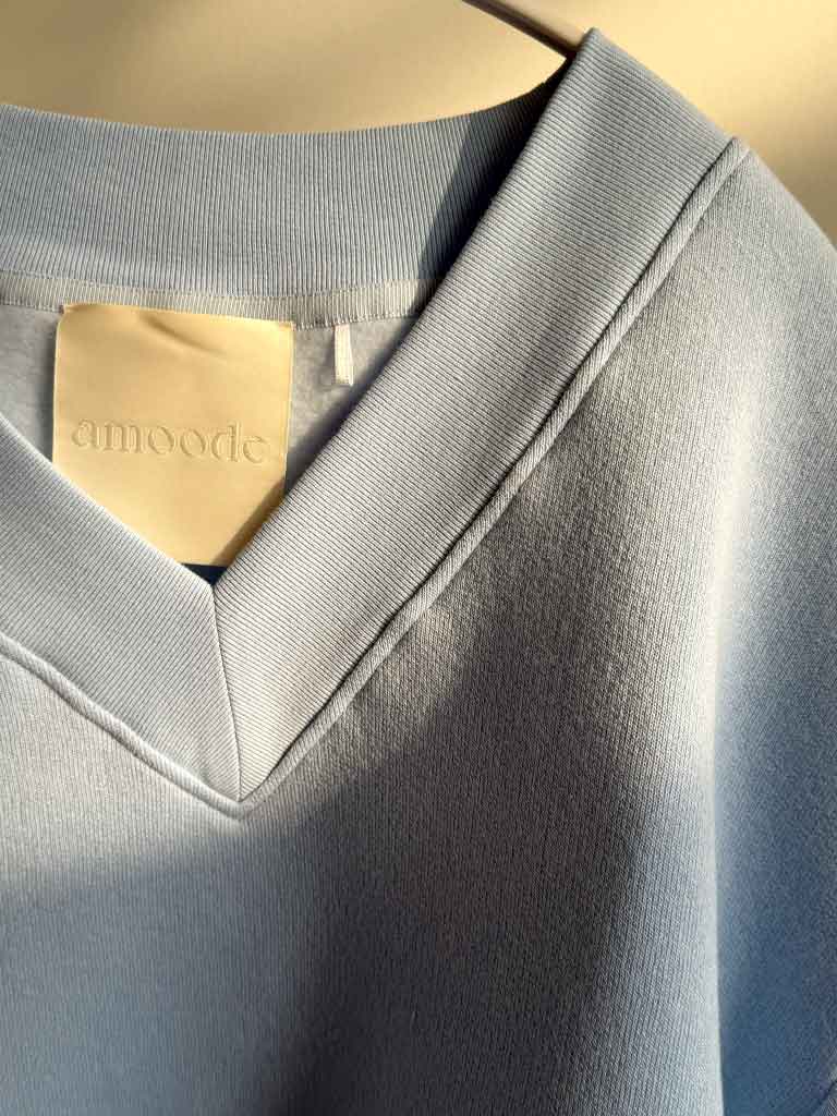 Light Blue V-Neck Sweatshirt with Batwing Sleeves – LEENA SWEAT