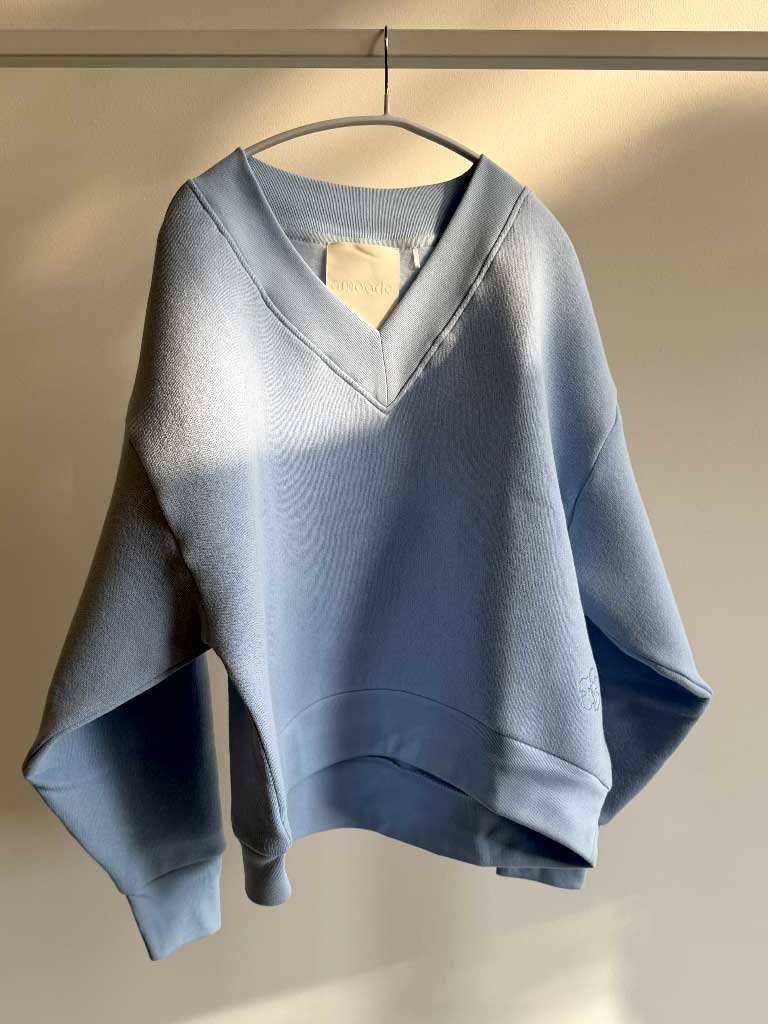 Light Blue V-Neck Sweatshirt with Batwing Sleeves – LEENA SWEAT