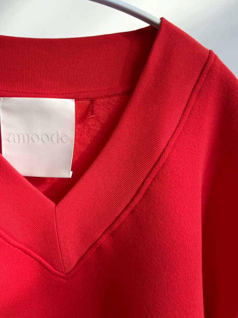 Red V-Neck Sweatshirt with Batwing Sleeves – LEENA SWEAT